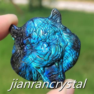 2" Natural Labradorita Tigre Tótem Colgante Cuarzo Cristal Calavera Curación 1PC - Imagen 1 de 9