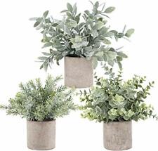Artificial Plant Plastic Eucalyptus Mini Potted Fake Plants 3 Pack by Der Rose