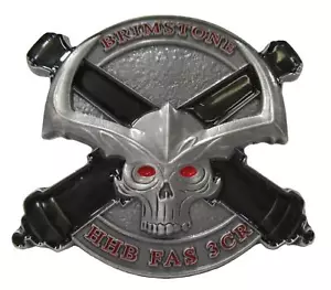 CHALLENGE COIN 3RD ACR BRAVE RIFLES HHB FAS 3CR BRIMSTONE BLOOD & STEEL SQUADRON - Picture 1 of 4