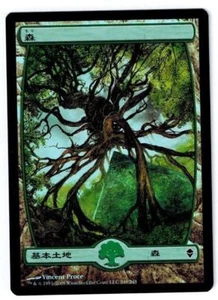 MTG 1x Zendikar common land FOIL Japanese LP Forest #249 ships w/ tracking - Picture 1 of 2
