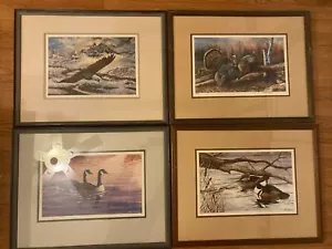 Jim Simpson Set of 4 Lithographic Framed Bird Prints, Signed, Numbered, Sealed - Picture 1 of 10