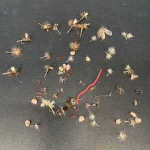 Fly Fishing Flies Lot 40+, Worm Egg Insects Extra Small And Standard Extra Hooks - Picture 1 of 8