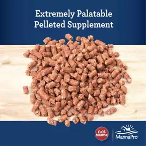 Manna Pro Calf-Manna Horse Treat Farm Animal Feed, 25lb - Picture 1 of 5