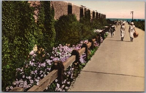 Postcard Long Island New York Jones Beach State Park Landscaped Walk Albertype - Bild 1 von 2