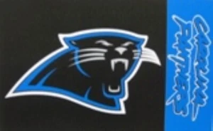 WINCRAFT CAROLINA PANTHERS LOGO NFL FLAG BANNER – DOUBLE SIDED - Picture 1 of 1