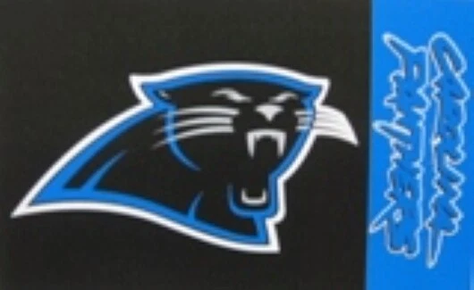 WINCRAFT CAROLINA PANTHERS LOGO NFL FLAG BANNER – DOUBLE SIDED - Image 1 of 1