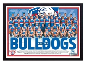 Framed 2024 Western Bulldogs AFL Poster - 62cm x 44.5cm x 3cm - Picture 1 of 4