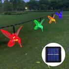 Solarbetriebene Kolibri-LED-Lichterkette 3