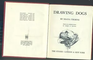 DRAWING DOGS BY DIANA THORNE . 1946GREAT DANE, BULL TERRIER, GREYHOUND - Foto 1 di 6