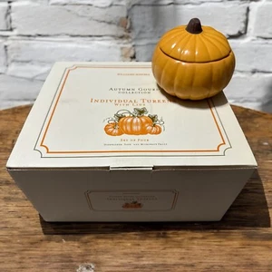 Williams Sonoma COLLEZIONE ZUCCA AUTUNNO 4 borse singole con coperchi A+ COND - Foto 1 di 7