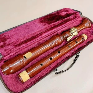 Yamaha YRT-61M Wood Tenor Recorder with Soft Case Used from Japan - Picture 1 of 10