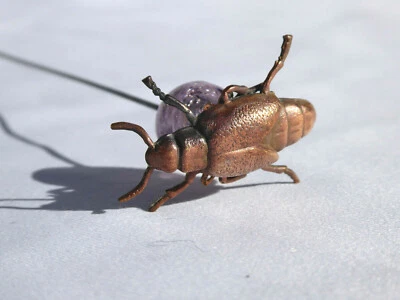 Rare ancienne épingle a chapeau scarabée Art Nouveau insecte hat pin 1910 verre - Photo 1/4