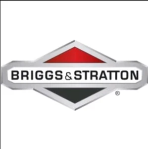 Passend für Briggs und Stratton 294606S Öldichtung - Bild 1 von 1