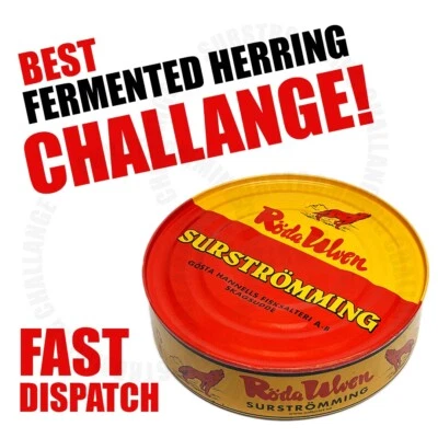 RODA ULVEN Surströmming SURSTROMMING HERRING CHALLENGE EATING PRANK, Bachelor party