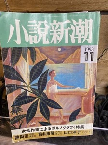 1993 japanese Novel book special feature on pornography by female authors - Bild 1 von 10