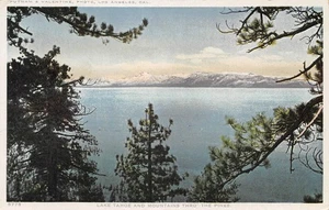 Lake Tahoe And Mountains Thro' The Pines, California 1919 Vintage Postcard - Picture 1 of 1