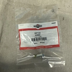 Vite Briggs & Stratton - Foto 1 di 2