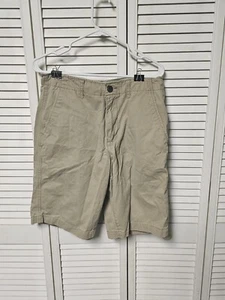 American Eagle Outfitters Longboard Flat Front Beige Khaki Shorts - Men's 31 - Picture 1 of 6