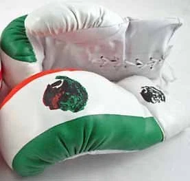 1 Pair of Adult 14oz Boxing Gloves Mexico Flag Boxer [Misc.] Cover