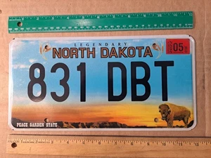 Targa, North Dakota, 2022, Tramonto, N. American Bison, Passeggero, 831 DBT - Foto 1 di 3