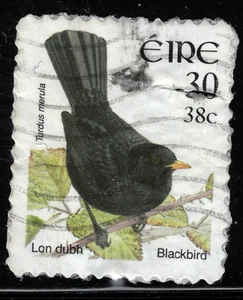 Ireland - 2002 - 38¢ - Birds - Turdus merula - #18087 - Picture 1 of 1