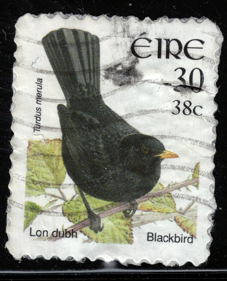 Ireland - 2002 - 38¢ - Birds - Turdus merula - #18087 - Image 1 of 1