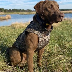Mossy Oak Camo Neopren Hundeweste Parka Jagdkleidung Gr. L - Bild 1 von 10