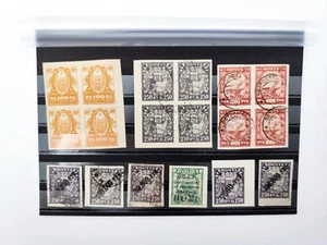 Francobolli 1917-1921 Vintage Set Quartieri Blocchi 100 - 1000 Rubli RSFSR - Foto 1 di 12