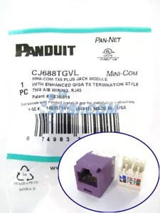 Módulo Mini-Com GENIUNE Panduit CJ688TGVL Cat6, Violeta ~STSI - Imagen 1 de 3
