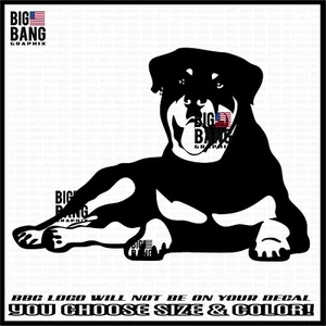 Rottweiler Rottie Perro Vinilo Calcomanía Adhesiva SUV Coche Camión Ventana Acostar Estancia - Imagen 1 de 5