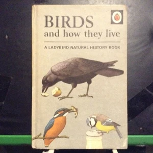 Vintage Ladybird Book Series 651 Birds And How They Live   1966 - Picture 1 of 3