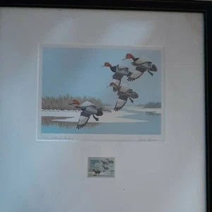 STANLEY STEARNS Maryland 1978 "Redheads Landing" LE S/N GERAHMTER DRUCK MIT BRIEFMARKE - Bild 1 von 7