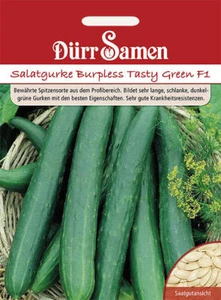 Salatgurken Burpless Tasty Green F1 Samen von Dürr Samen Salatgurke ca 25 Korn - Bild 1 von 1