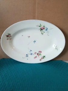 19. Jahrhundert Haviland & Co Limoges Blumenmuster Servierplatte 1876-1889 RAR - Bild 1 von 5
