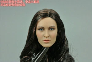 TBL PLLB2014-S09 1/6 Female Brown Curls Hair Head Sculpt Carved Fit 12'' Figure - Picture 1 of 2