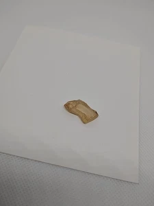 Top Qualität Oregon Sonnenstein Facette grob Edelsteinschliff Facettierung 8,6 Karat - Bild 1 von 12