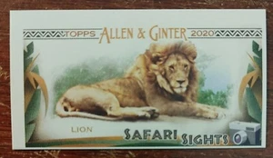 2020 Topps Allen and Ginter Mini Safari Sights Lion - Bild 1 von 2