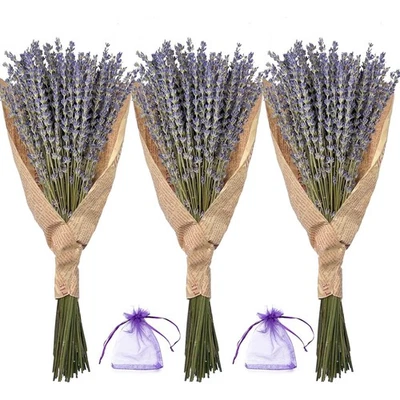 BEAQUICY1 3 Packs Natural dried lavender bouquets, perfect for DIY projects.