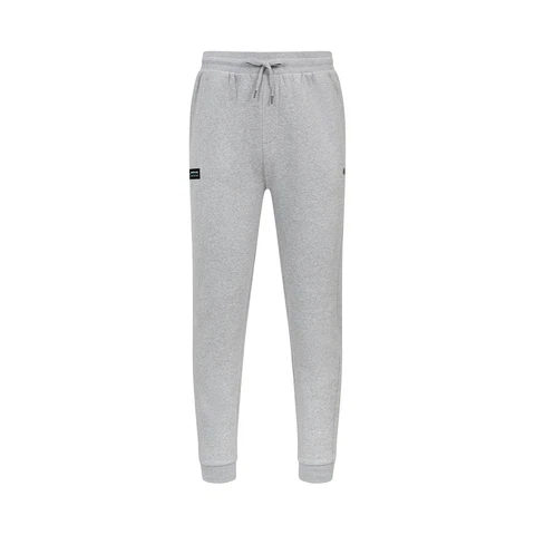 New 2023 Logo Grey Mercedes AMG F1 men's pants (L) F1 Cover