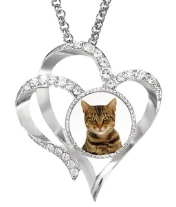 Tabby Katze Haustier Silber Farbe Herz Halskette und Diamant Anhänger + Geschenkbox - Bild 1 von 4