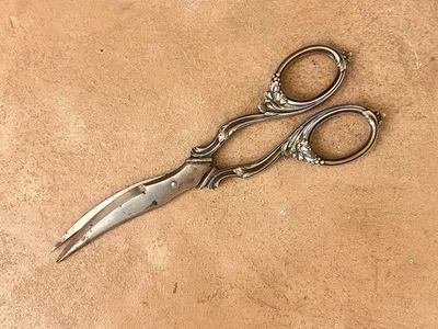 Ancienne Paire De Ciseaux À Raisins Rocco en Métal argenté 19ème Finement Ciselé - Photo 1/3