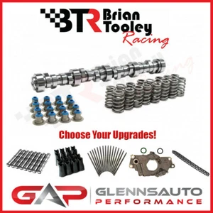 BTR Truck Cam Kit w/ Optional Lifters/Pushrods/Oil Pump/Chain - Choose Your Kit! - Picture 1 of 2