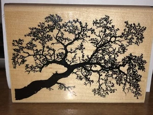 Stampscapes Oak Branch 203G Trees Rubber Stamp Mounted/wood 3 1/4 x 4 5/8" 1997 - Picture 1 of 3