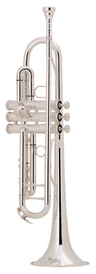 King 2055S Bb Trompeta Estilo Plateado Serie Conjunto con Estuche y Boquilla Bach Foto 1 de 4