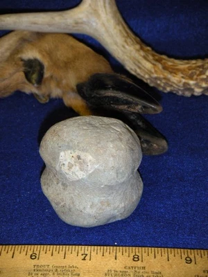 HARDSTONE HAMMERSTONE / CLUB DE GUERRA - CONDADO DELAWARE OHIO - ENCONTRADO EN EL RÍO SCIOTO Foto 1 de 4