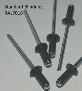 500 Stück Blindnieten  4,8x16  Alu/Stahl  Flachkopf  RAL 7016 Anthrazitgrau - Bild 1 von 1