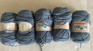 Petite Americana DK weight Acrylic yarn by Super Yarn Mart Lot Of 5Blue - Imagen 1 de 3