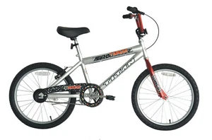 TITAN Tomcat Boys BMX with 20-Inch Wheels - Picture 1 of 20