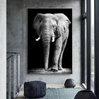 African Elephant Animals Canvas Painting Wall Art Poster Prints Art Wall Picture