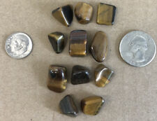 Lot Of 11 Polished Natural Yellow Tiger's Eye Stones Rocks Pieces FAST SHIPPING